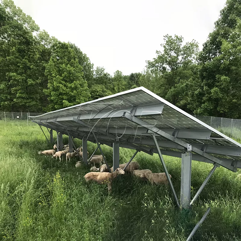 Solarenergiefarm